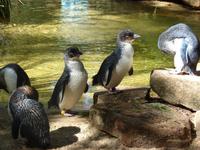 Im Federal Wildlife Park (14)