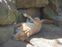 Im Federal Wildlife Park (2)