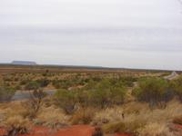 Auf dem Weg von Alice zum Uluru (1)