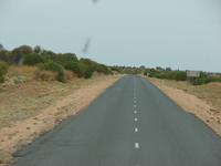 Auf dem Weg von Alice zum Uluru (14)