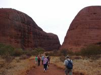 Rund um die Kata Tjutas (12)