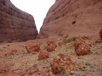 Rund um die Kata Tjutas (17)