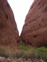 Rund um die Kata Tjutas (2)