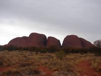 Rund um die Kata Tjutas (8)