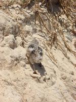 Great Barrier Reef (3)