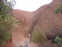 Rund um den Uluru (4)