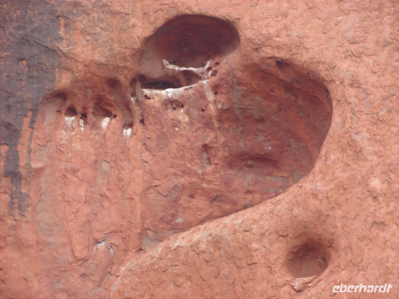 Rund um den Uluru (5)