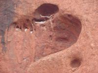 Rund um den Uluru (5)