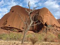Rund um den Uluru (7)