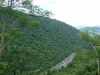 Mit dem Scenic Railway von Kuranda nach Freshwater (21)