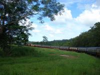 Mit dem Scenic Railway von Kuranda nach Freshwater (27)