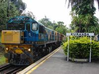 Mit dem Scenic Railway von Kuranda nach Freshwater (6)