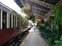 Mit dem Scenic Railway von Kuranda nach Freshwater (7)