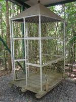 Skyrail nach Kuranda (12)