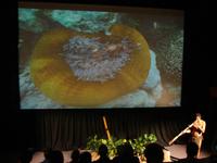 Tjapukai Aboriginal Cultural Park (11)