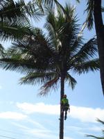 Am Four Mile Beach nahe Port Douglas (4)