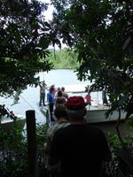 Auf dem Daintree River (3)