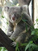 Im Rainforest Habitat Wildlifepark (3)