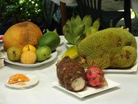 Mittagessen im Teahouse Daintree NP (5)