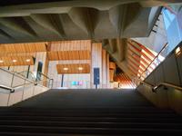 Sydney (Besichtigung des Opernhauses)