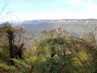 Blue Mountains
