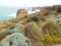 Great Ocean Road (Port Campbell National Park - 12 Aposel)