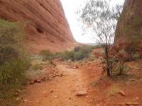 Outback - Wanderung bei den Kata Tjutas (Olgas)