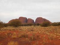 Outback - Blick auf die Kata Tjutas (Olgas)