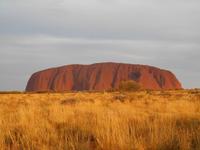Outback - Sonnenuntergang am Uluru (Ayers Rock)