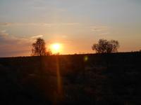 Sonnenaufgang im Outback