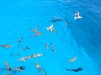 Ausflug mit dem Katamaran 