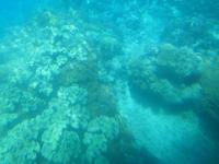 Great Barrier Reef (Fahrt mit dem Mini U-Boot - Semi Sub)