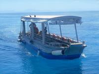 Great Barrier Reef (Fahrt mit dem Beach Buggy zur Koralleninsel 