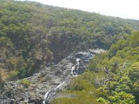 Fahrt mit der Regenwald-Skyrail nach Kuranda