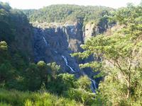 Fahrt mit dem Kuranda 