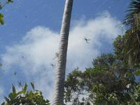 Wildlife Habitat Park in Port Douglas