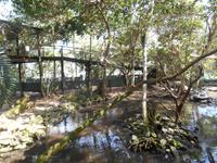 Wildlife Habitat Park in Port Douglas