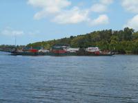 Autofähre über den Daintree-River