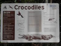Krokodil-Warnschild am Daintree-River