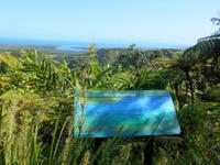 Daintree Nationalpark (Aussichtspunkt Alexandra Range)
