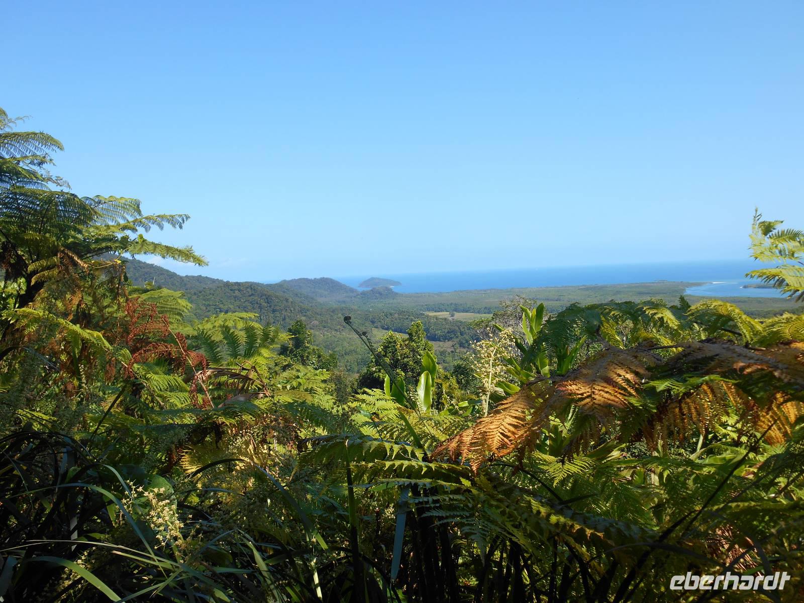 Daintree Nationalpark (Aussichtspunkt Alexandra Range)