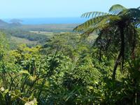 Daintree Nationalpark (Aussichtspunkt Alexandra Range)