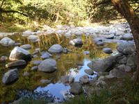 Daintree Nationalpark (Mossman Gorge)