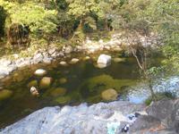 Daintree Nationalpark (Mossman Gorge)