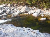 Daintree Nationalpark (Mossman Gorge)