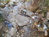 Daintree Nationalpark (Mossman Gorge)