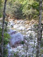Daintree Nationalpark (Mossman Gorge)