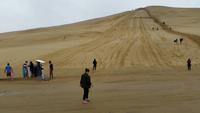 90 Miles Beach - Rundeise Neuseeland - Nordinsel