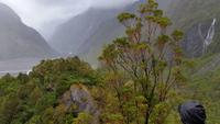 Franz Josef Gletscher - Rundeise Neuseeland