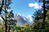 Rundeise Neuseeland - Südinsel